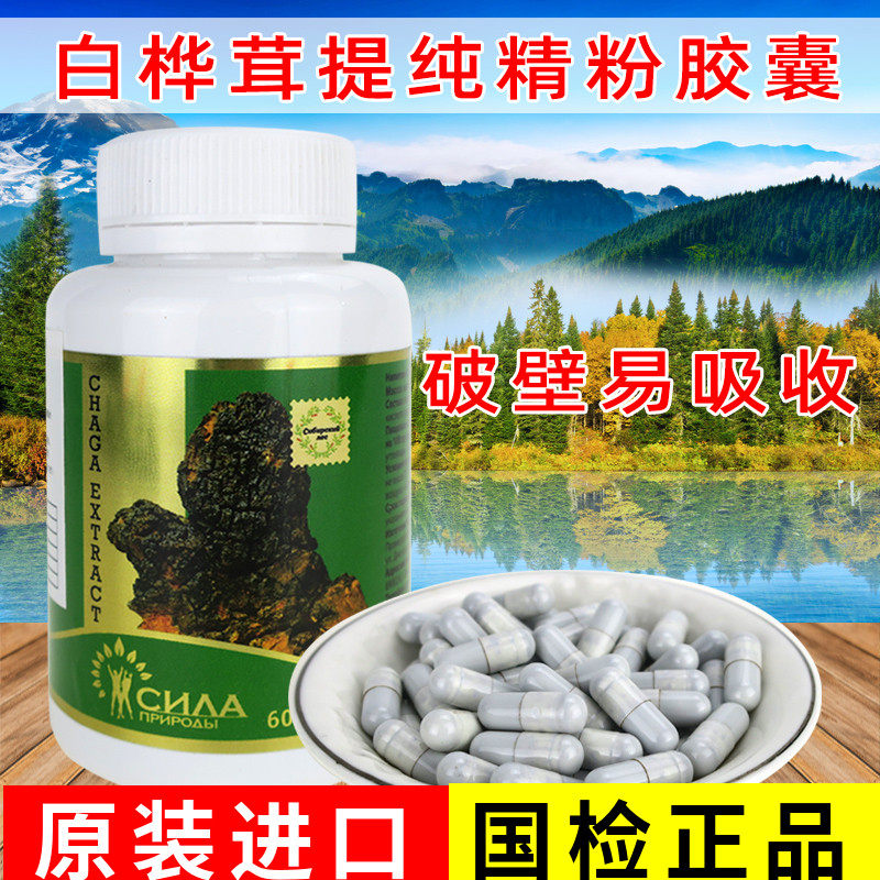 白桦茸胶囊俄罗斯进口桦树茸精粉野生西伯利亚桦褐孔菌茶然胰岛素