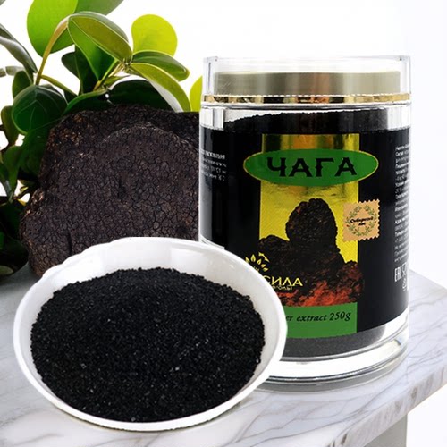 桦树茸俄罗斯瓶装桦褐孔菌