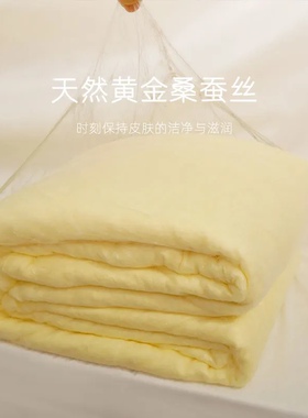 黄金丝蚕丝被纯手工制作桐乡正宗纯手工百分百桑蚕丝长丝优等品