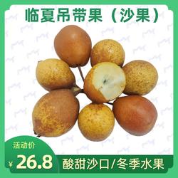 临夏吊带果沙梨吊蛋儿马奶头梨非热冬果梨杜梨棠梨老人小孩5斤装