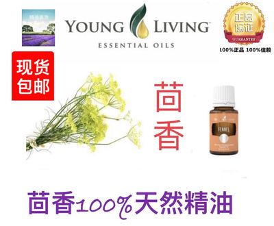 美国茴香纯天然15ml精油