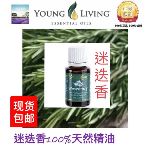 美国纯天然去屑15ml迷迭香精油