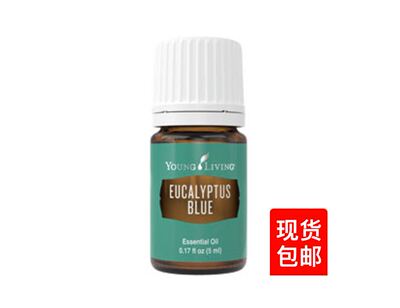美国Young Living Eucalyptus Blue 蓝桉精油 5ml