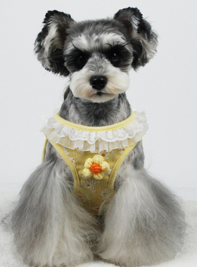 宠物泰迪比熊博美狗狗牵引绳约克夏季小型犬鹿犬背心式外出胸背带