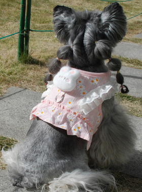 小狗狗牵引绳幼小型犬泰迪博美比熊茶杯公主裙马尔济斯遛狗绳夏款