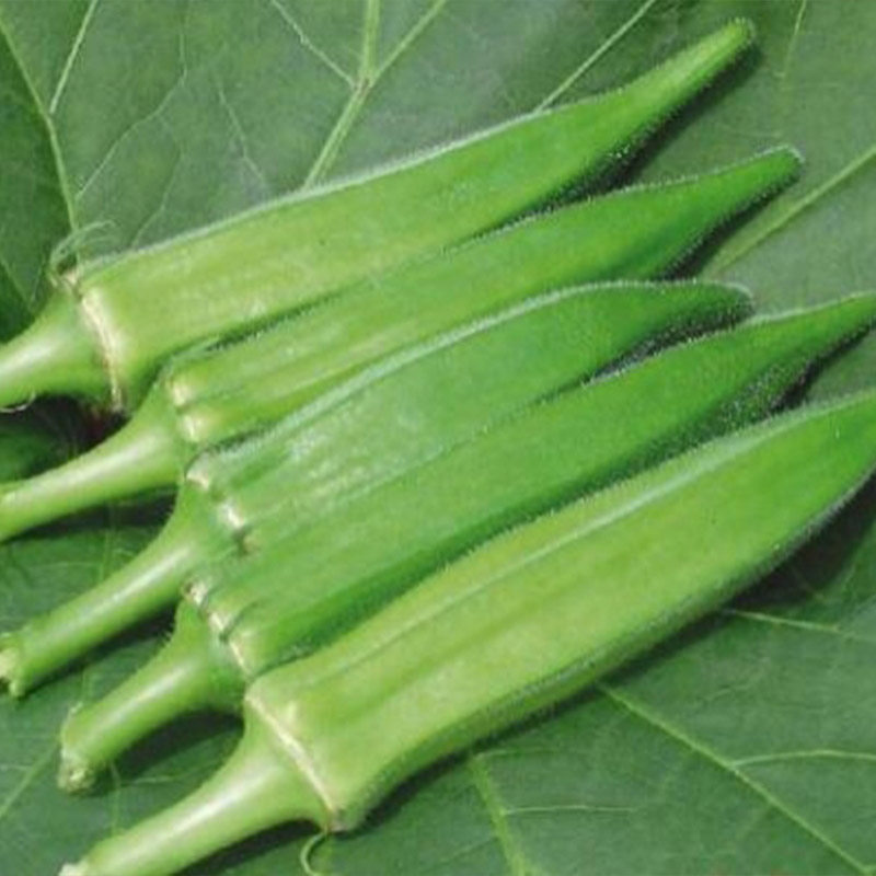 蔬菜种子秋葵种子阳台种菜庭院易种活|ruв категории доставка цветов/цветок моделирования/растения садоводства, цветок/овощи и фрукты/газон семян (новая), домашнее садоводство семян - от Buy2taobao.com для оказания профессиональной услуги покупки агента Taobao