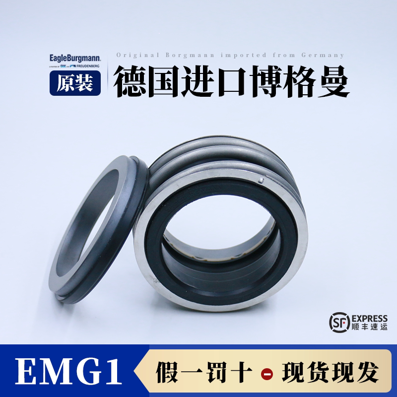 博格曼德国碳化硅原装机械密封