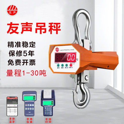 友声吊秤吊钩秤10吨20吨30吨打印