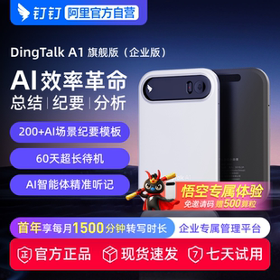 企业版 会议纪要 钉钉A1 AI智能录音笔 AI分析总结实时转写翻译 DingTalk