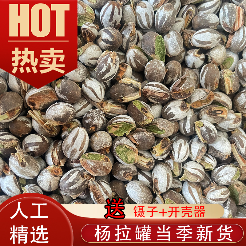 东北杨拉罐人吃钓鱼饵坦克虫洋辣子罐蛋蜜袋鼯松鼠用品仓鼠金丝熊