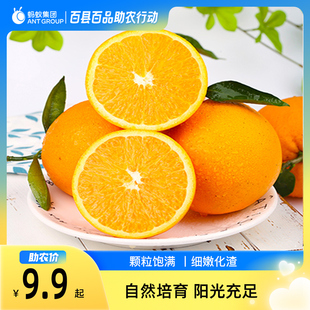 【百县百品】芷江新鲜脐橙3斤5斤9斤
