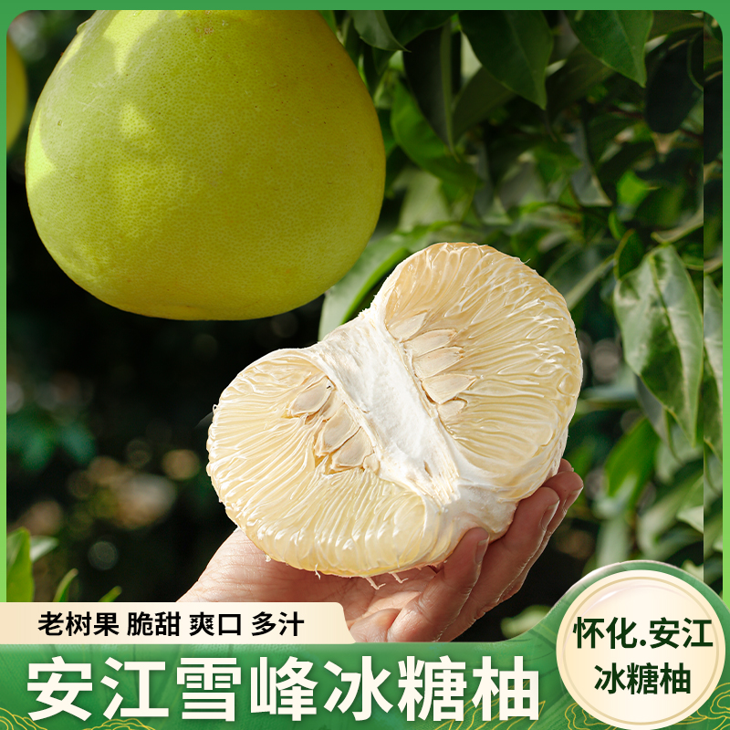 湖南雪峰冰糖柚新鲜10斤