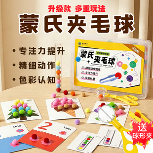 早教夹毛球蒙氏教具早教套精细动作专注益智玩具2岁儿童数学启蒙