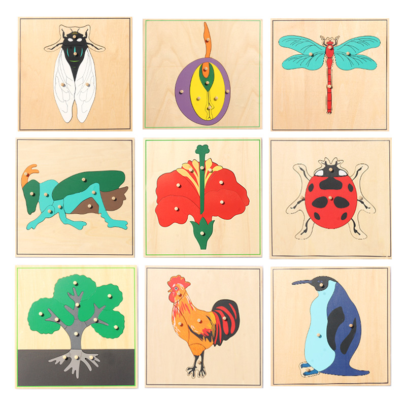动物拼图植物拼图蒙氏教具手抓板家庭装木质嵌板儿童玩具幼儿园