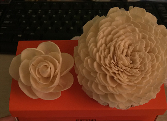 木薯干花更换装2朵装 Estebel 第7灵感 EB熏香挥发 用于催化精油