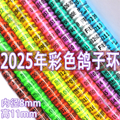 鸽环2025年鸽子脚环信鸽足环彩色字母信鸽足环鸽环鸽子仿环识别环