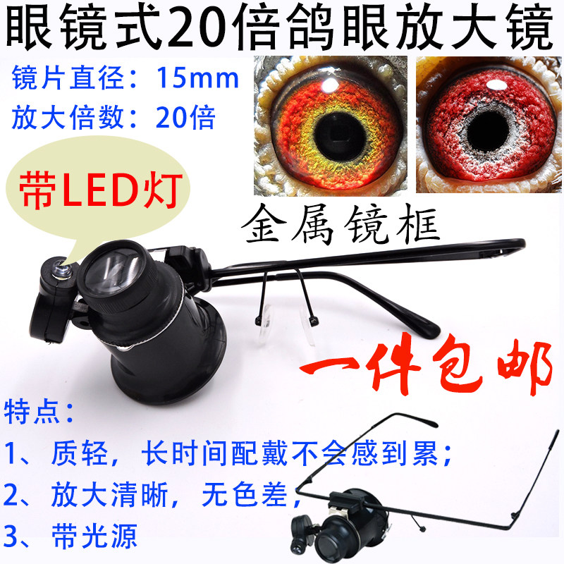 赛鸽 鸽子眼沙 信鸽用品 观赏鸽用具 10倍鸽眼放大镜【带LED灯】