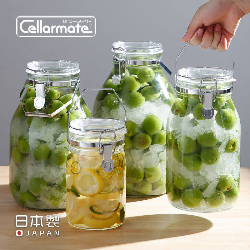 星硝日本进口手提酿梅子酒瓶子酿草莓青梅酒密封罐泡酒泡菜玻璃瓶
