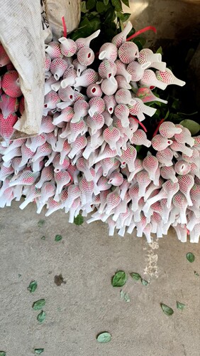 补差价专拍玫瑰花网套鲜切花珍珠棉网套工艺品白色网套