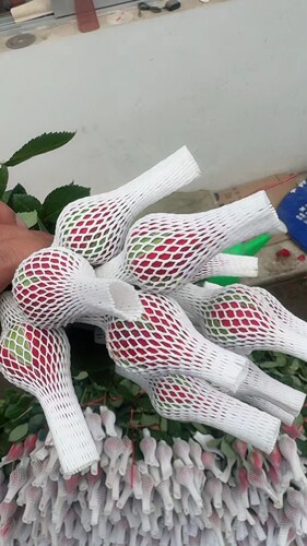 批发玫瑰花网套珍珠棉泡沫网套防震防摔包装保护花苞网套10*2