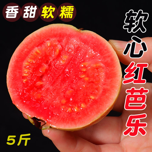 新鲜水果软糯香甜软心芭乐5斤装