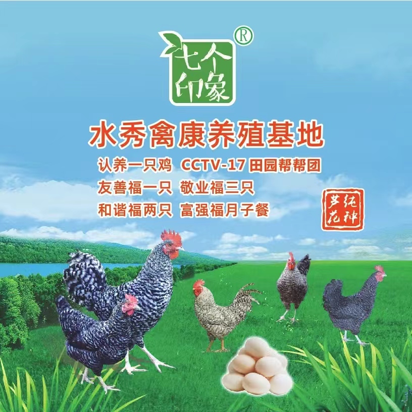 【春节好礼  芦花鸡福卡】纯种芦花鸡散养土鸡跑步鸡认养鸡土鸡蛋