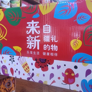 新疆礼物9种特产干果杏干和田大枣礼盒混合组合装 坚果大礼包