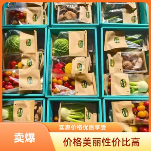 春节蔬菜礼盒山东寿光精品套菜紫花生芽清芹整箱特菜 当天采摘