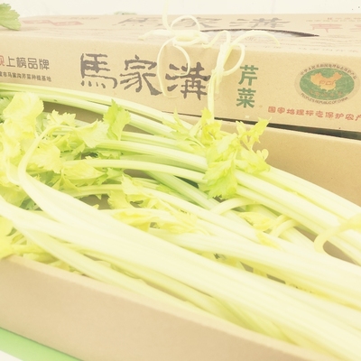 【带根原菜】青岛平度特产马家沟芹菜嫩芯芹蔬菜空心芹菜活体蔬菜