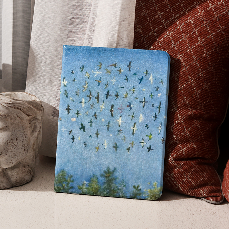 大雁蓝天ins风ipad保护套2024带笔槽款10.2平板壳mini6全包防摔12.9寸air6适用于苹果ipadpro11寸