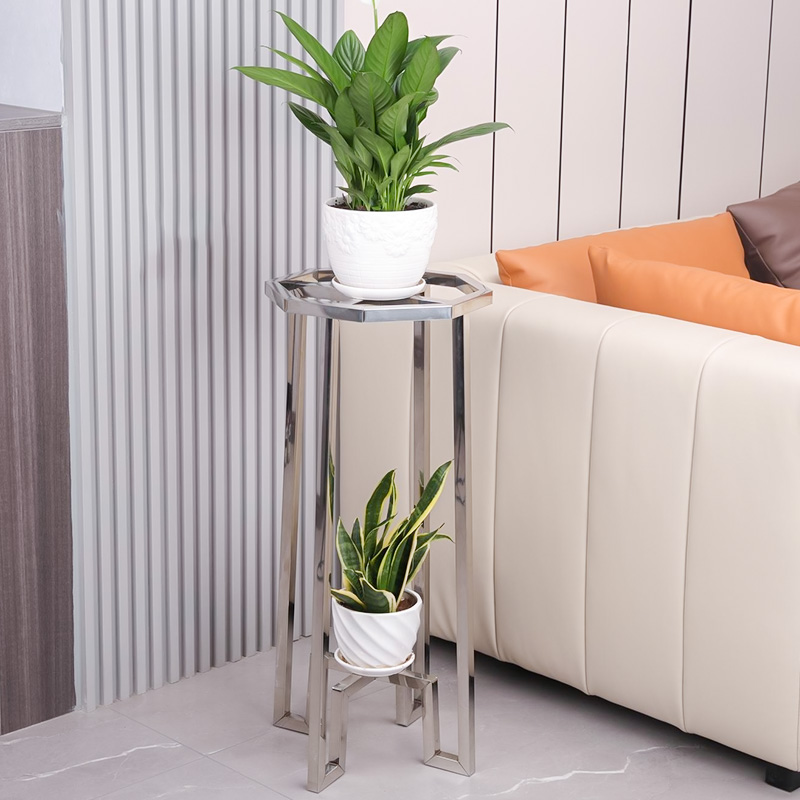 不锈钢双层花架落地式