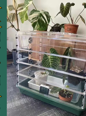 育苗闷养箱培育传播箱体带全透明加高层5939大托盘温室发芽催根盒