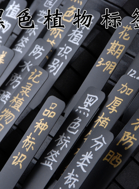 多肉标签一型插牌小标注神器园艺植物花卉标签塑料防水标记标识牌