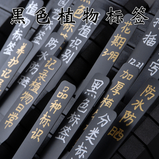 多肉标签一型插牌小标注神器园艺植物花卉标签塑料防水标记标识牌