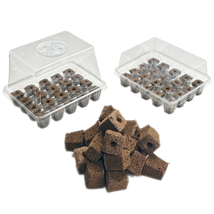 20孔水培育苗盒无土栽培盘繁殖播种盆发芽过程研学容器室内小温室