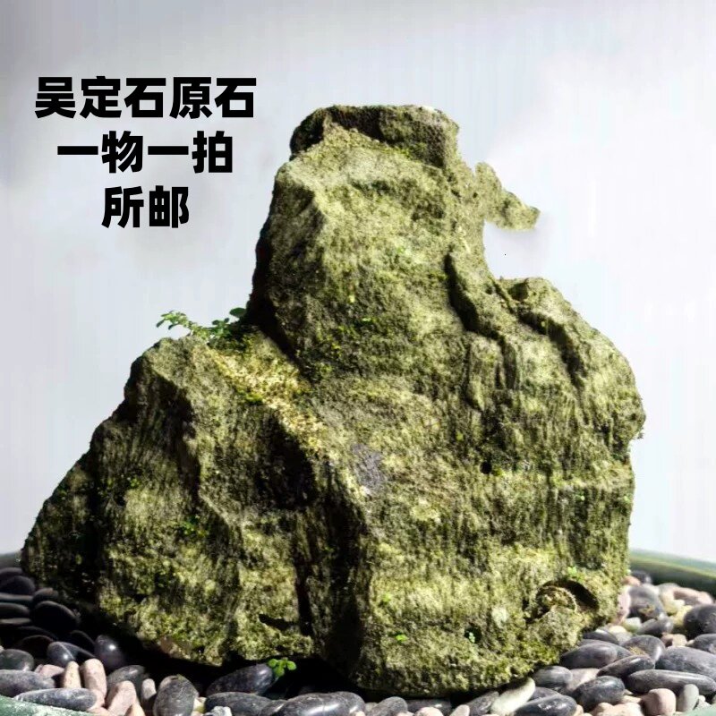 老刘石艺 台湾吴定石原石 吸水石上水石太湖石金钱附石菖蒲盆包邮