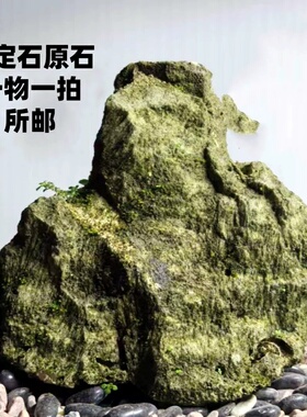 老刘石艺 台湾吴定石原石 吸水石上水石太湖石金钱附石菖蒲盆包邮
