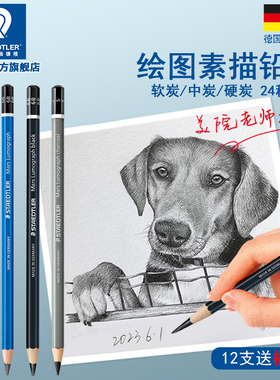 德国施德楼100蓝杆素描铅笔套装绘画碳笔书写绘图素描2h6b8b12b炭笔绘图hb学生铅笔速写铅笔艺考美术生专用