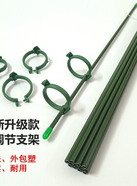金钱树支架植物支撑杆爬藤架卡扣