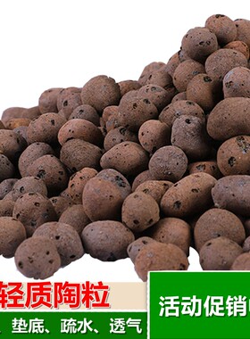 花卉种植水培金钱树垫底透气陶粒
