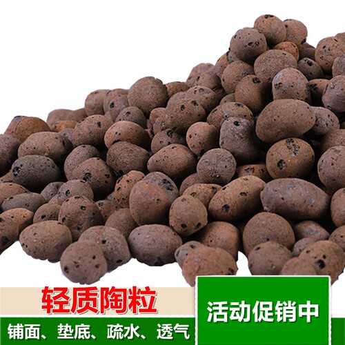 花卉种植水培金钱树垫底透气陶粒