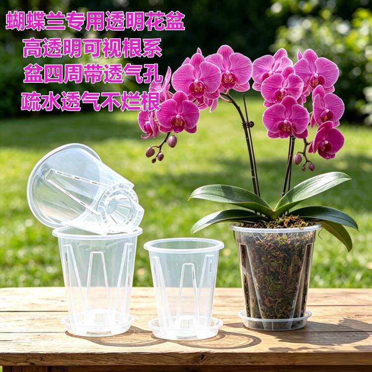 加厚高透明蝴蝶兰花专用花盆控根透气兰花杯石斛多肉种植育苗花钵图片
