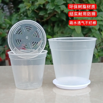 蝴蝶兰花专用花盆育苗杯营养钵