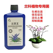 兰灵王蝴蝶兰兰花专用营养液肥料君子兰科活化剂生根催芽EM菌肥料