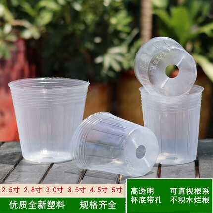蝴蝶兰专用营养杯种植杯兰花栽培花盆石斛兰育苗透明塑料盆营养钵