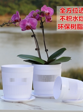 3.5寸4.5寸加厚透气蝴蝶兰专用控根花盆种植花钵兰花杯组盆定植篮