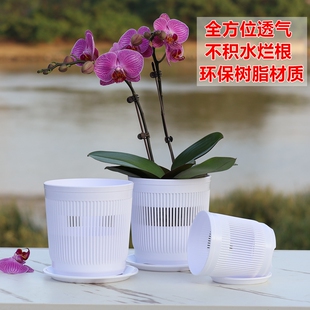 3.5寸4.5寸加厚透气蝴蝶兰专用控根花盆种植花钵兰花杯组盆定植篮