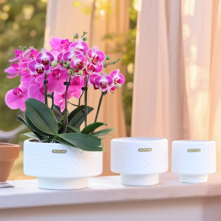 蝴蝶兰拼组合花盆石斛多肉盆栽植物拼盆大口径花钵兰花组盆仿陶盆