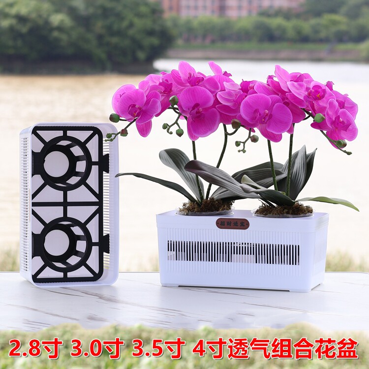 2.8/3.0/3.5/4寸兰花杯蝴蝶兰盆栽拼组合花盆透气控根定植钵托架图片