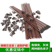 蝴蝶兰支架盆栽植物支撑杆造型铁丝支柱爬藤固定花夹子植物收拢架